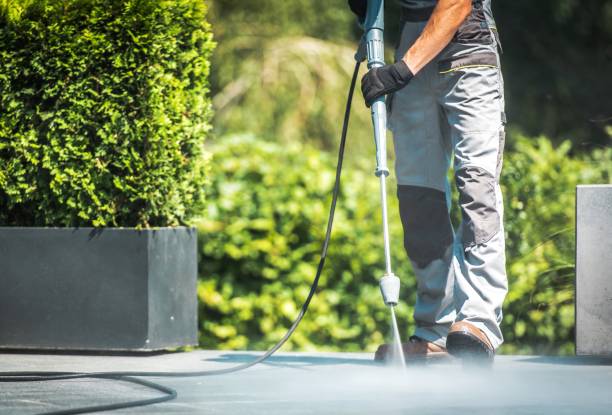 Best Rust Removal  in Lanett, AL