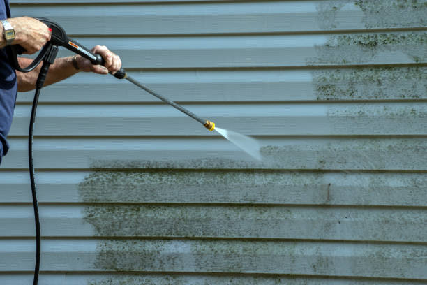 Best Driveway Pressure Washing  in Lanett, AL